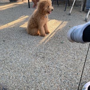 Meet your Posher, Christine